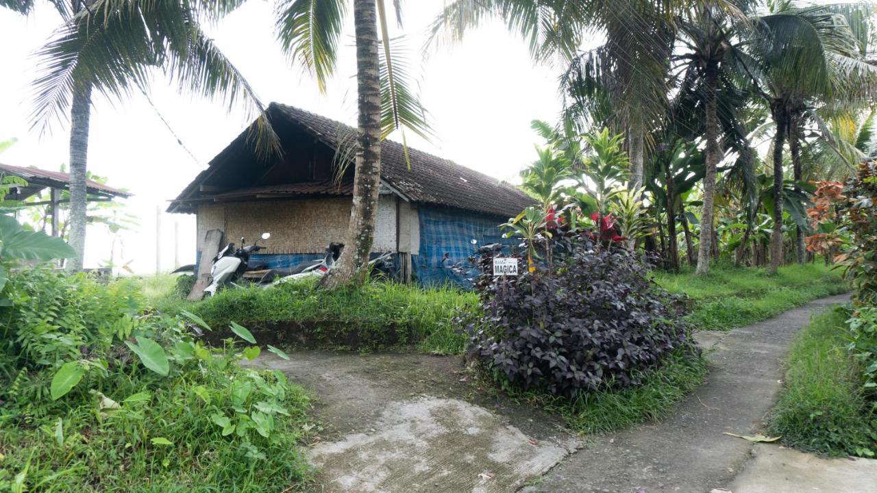 Villa Magica Ubud  Bagian luar foto