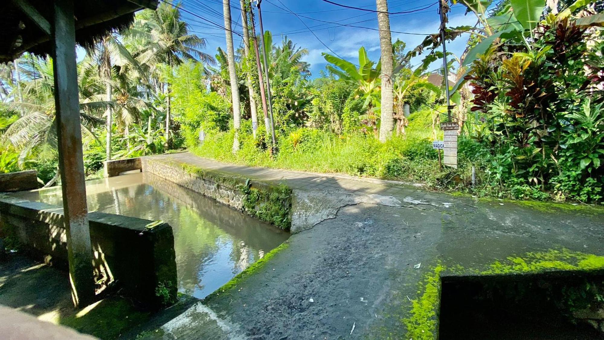 Villa Magica Ubud  Bagian luar foto